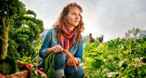mulheres na indústria agrícola